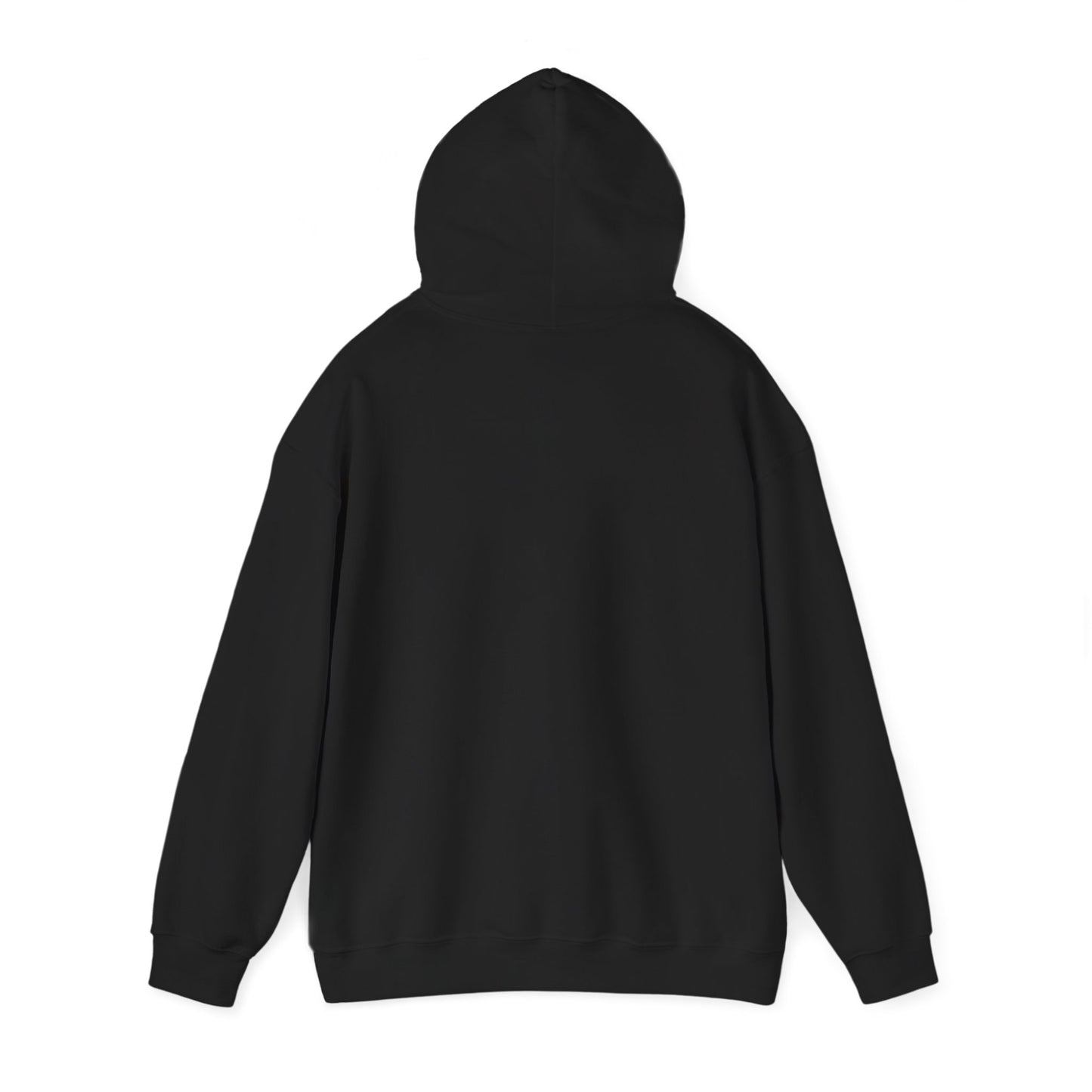 Sunset Glide - Cozy Hoodie