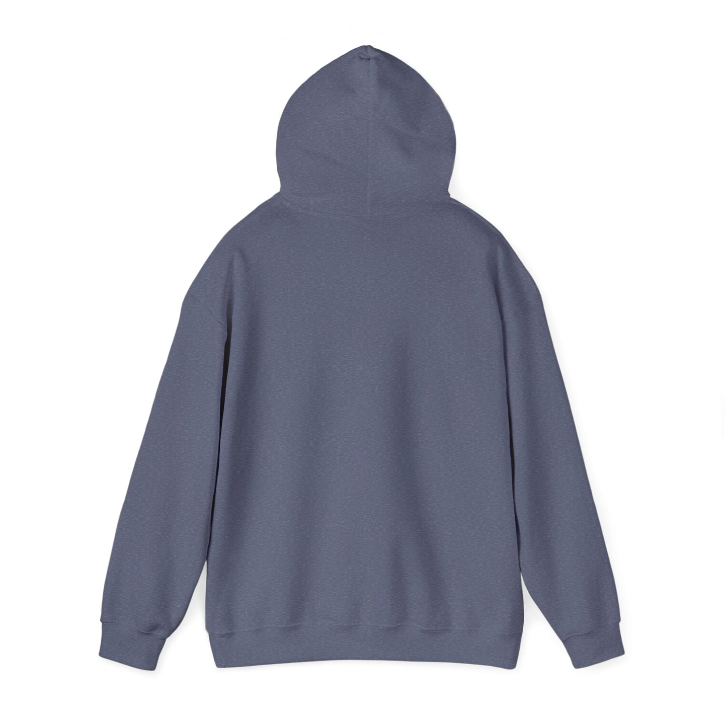 Sunset Glide - Cozy Hoodie