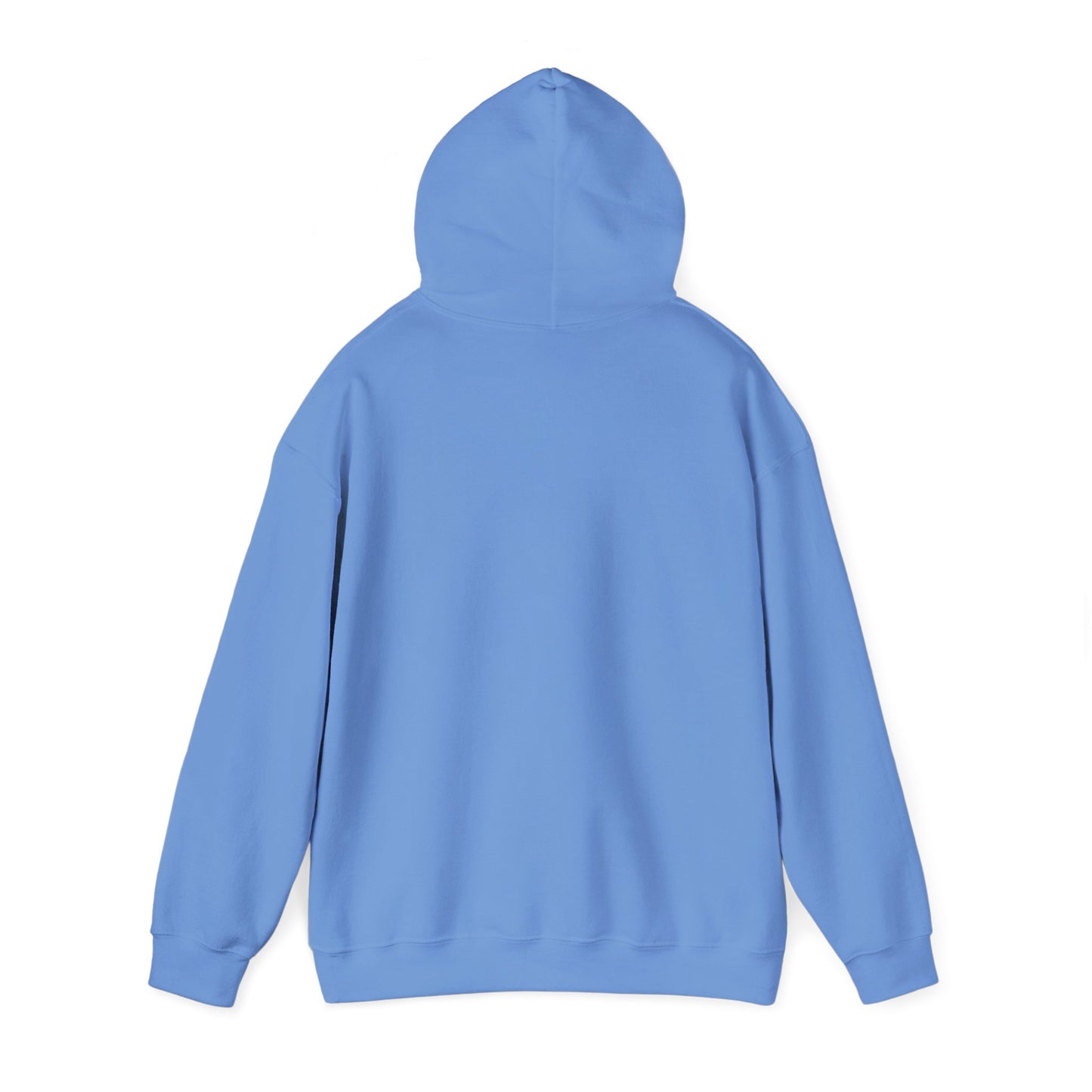 Feather & Wind - Cozy Hoodie