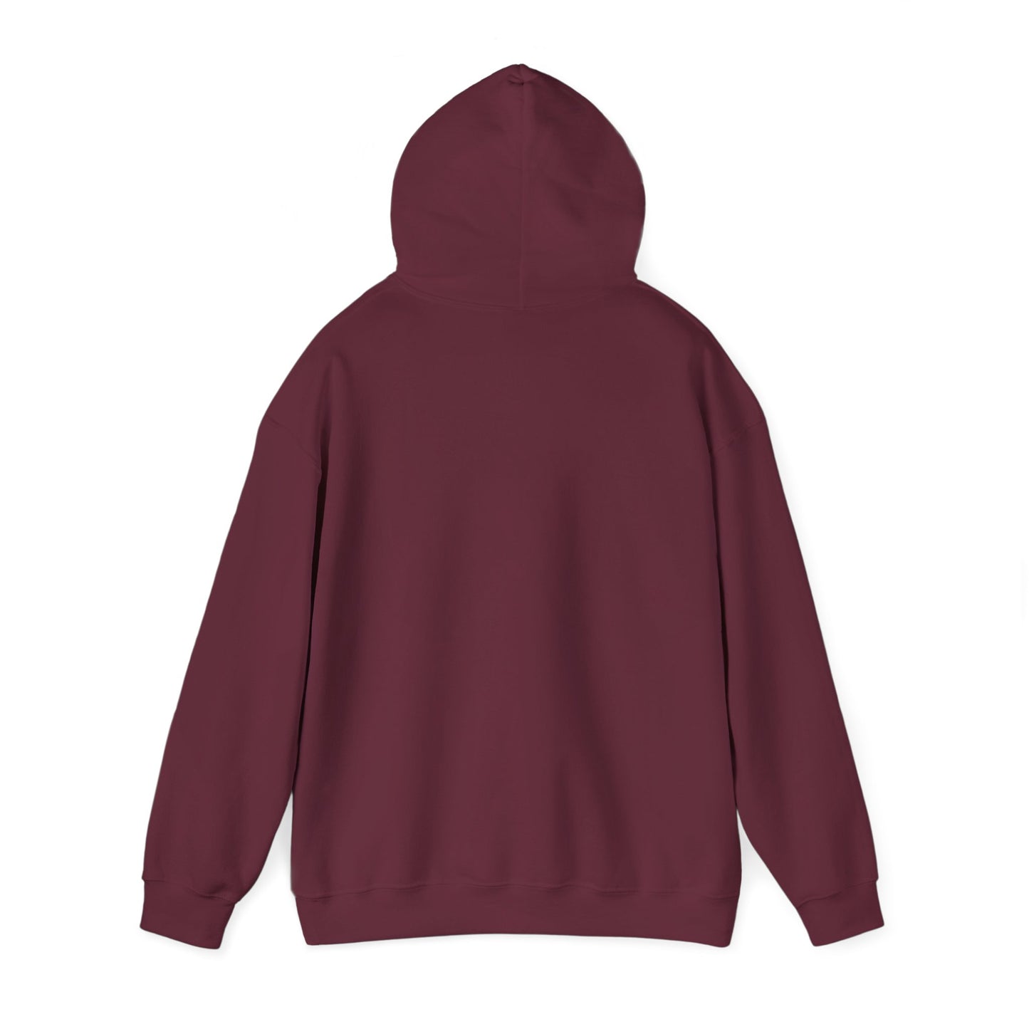 Feather & Wind - Cozy Hoodie