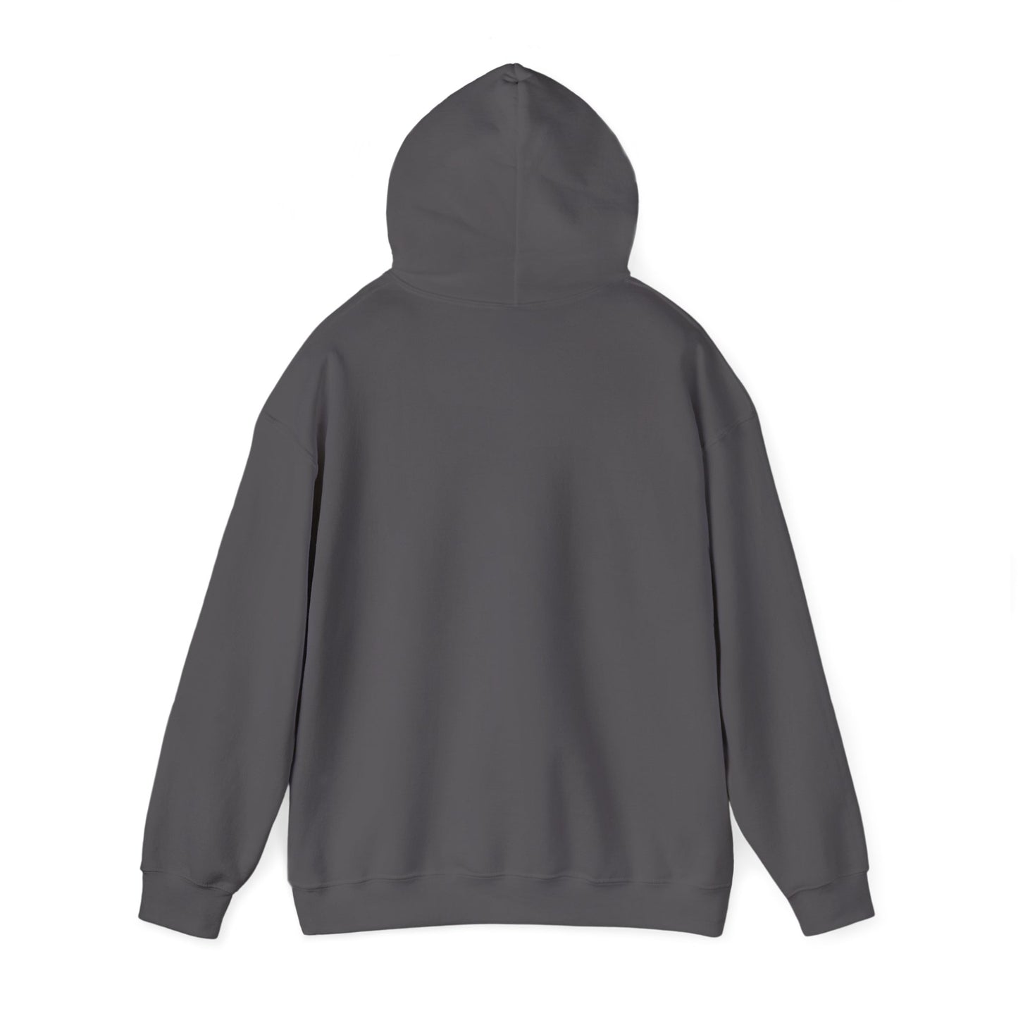 Sunset Glide - Cozy Hoodie