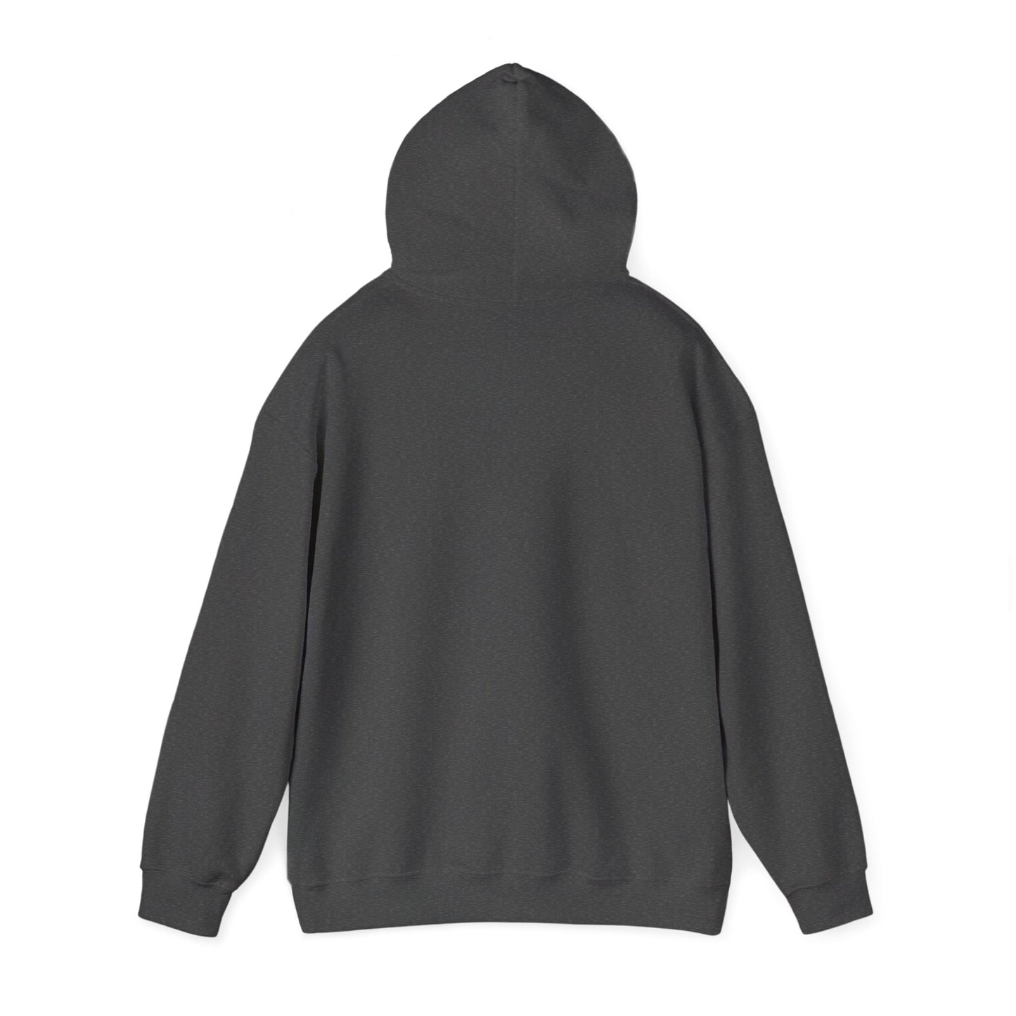 Sunset Glide - Cozy Hoodie