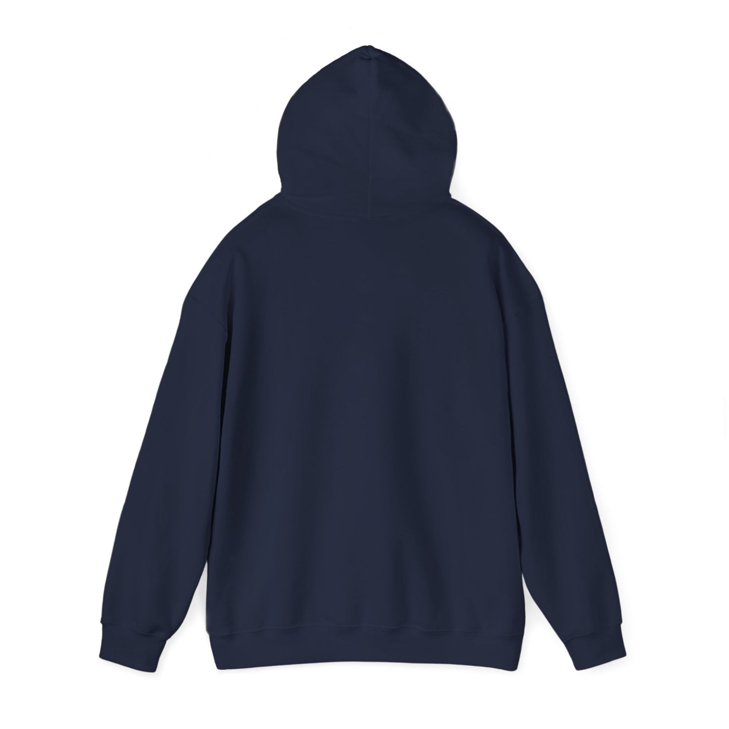 Sunset Glide - Cozy Hoodie